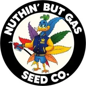 NBG Seed Co.