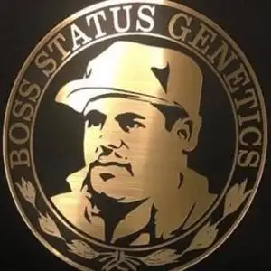 Boss Status Genetics