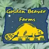 Golden Beaver Farms