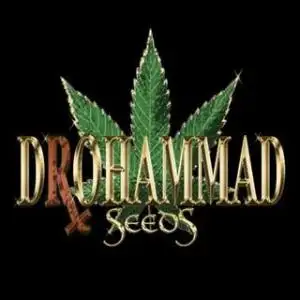 Drohammad Seeds