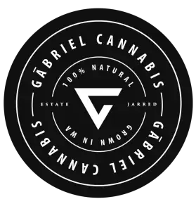Gabriel Cannabis