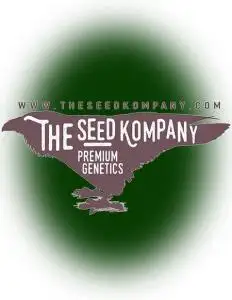 The Seed Kompany