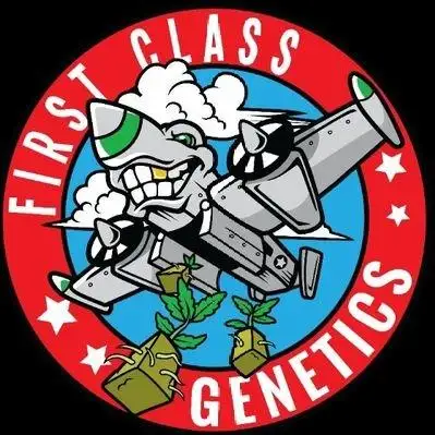 First Class Genetics