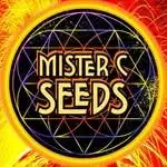 Mister C Seeds