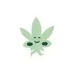 Seed Supplier - Strawberry Pie 