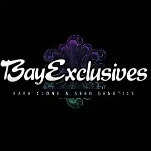 Bay Exclusives Seeds