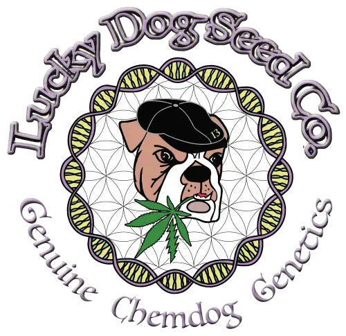 Lucky Dog Seeds