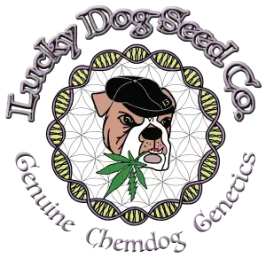 Lucky Dog Seeds