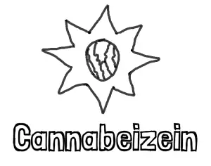 Cannabeizein