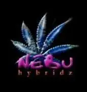 Nebu Hybridz