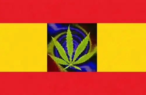 Caña de España