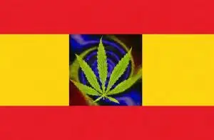 Caña de España