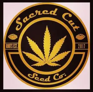 Sacred Cut Seed