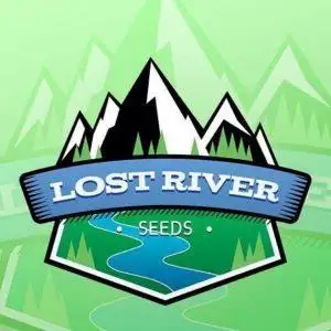 Lost River seeds