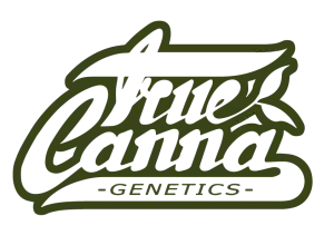 True Canna Genetics