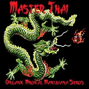 Master Thai