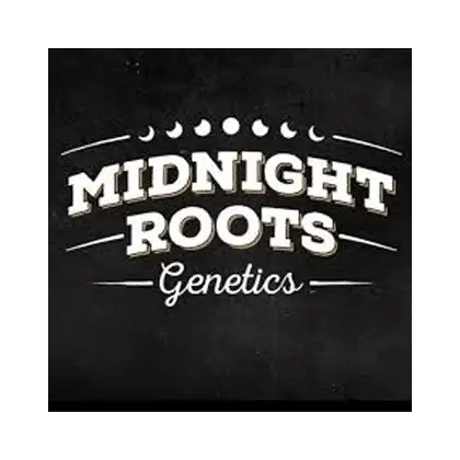 Midnight Roots Genetics