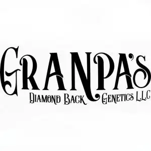 Diamond Back Genetics
