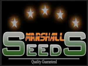 Marshall Seeds