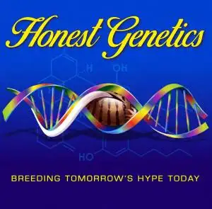 Honest Genetics