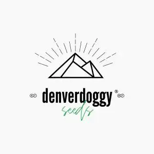 Denverdoggy Seeds