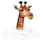 High Giraffe Seeds