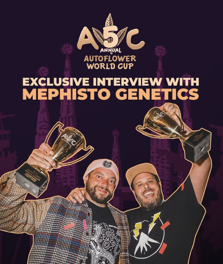 Mephisto Genetics