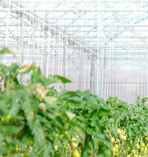 ThinkGrow