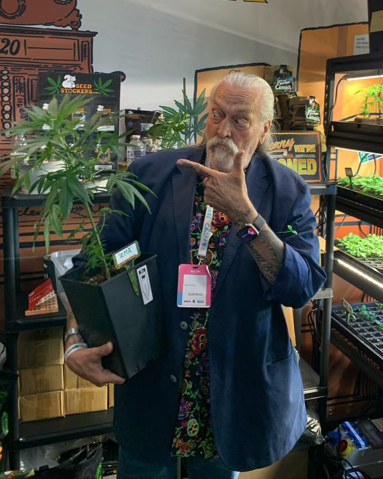 Seedstockers: strains reviews - GrowDiaries