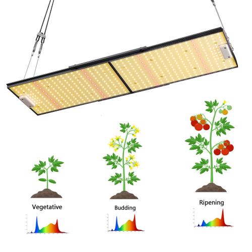HortiSpectra