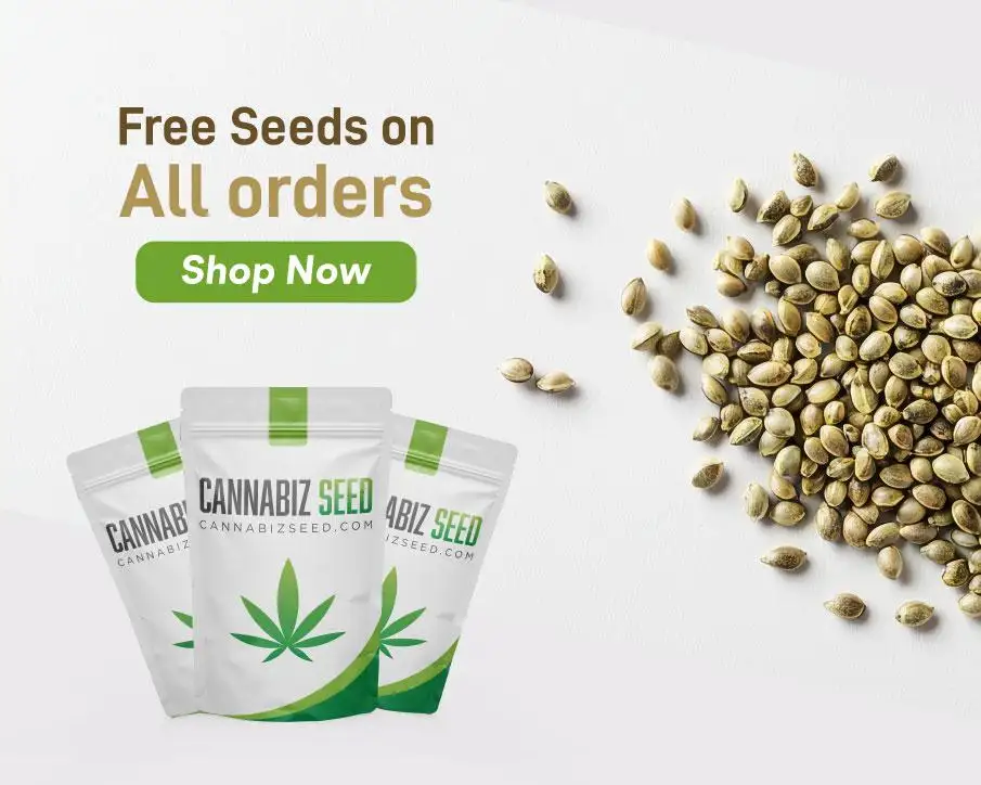Cannabiz Seed