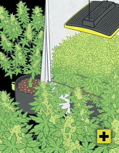 Garden Highpro