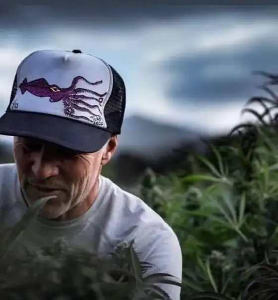 Happy Dreams Genetics