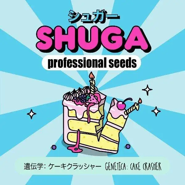 Shuga Seeds
