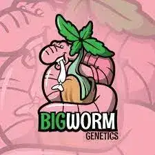 Bigworm Genetics