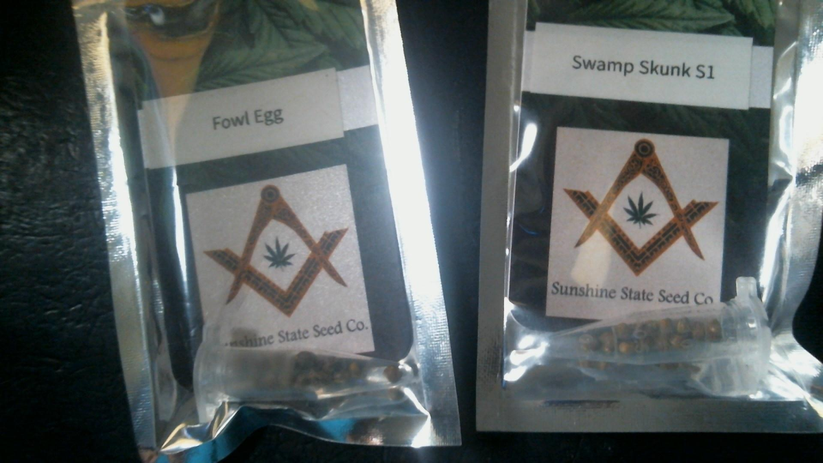 Sunshine State Seed Company