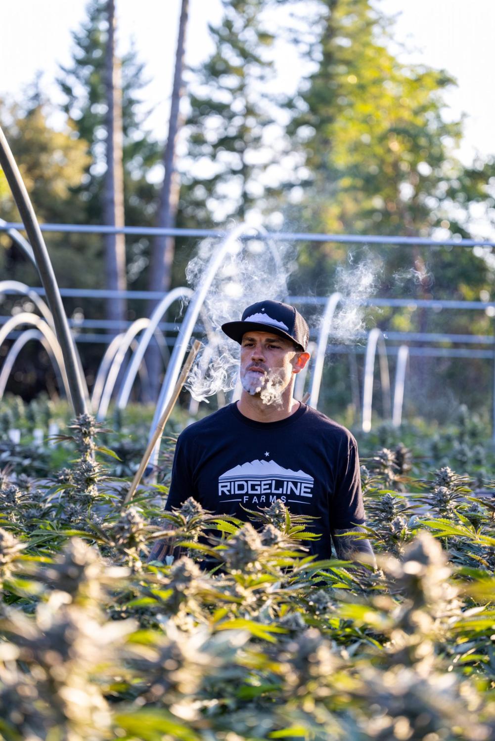 Ridgeline Farms