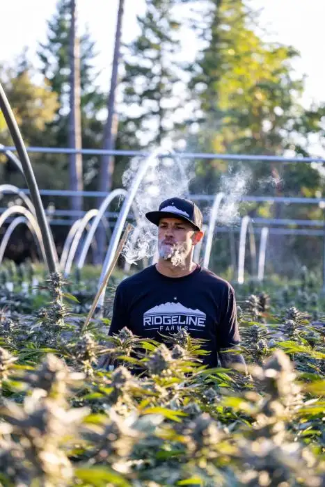 Ridgeline Farms