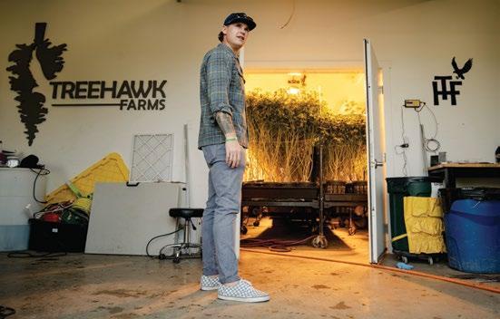 TreeHawk Farms