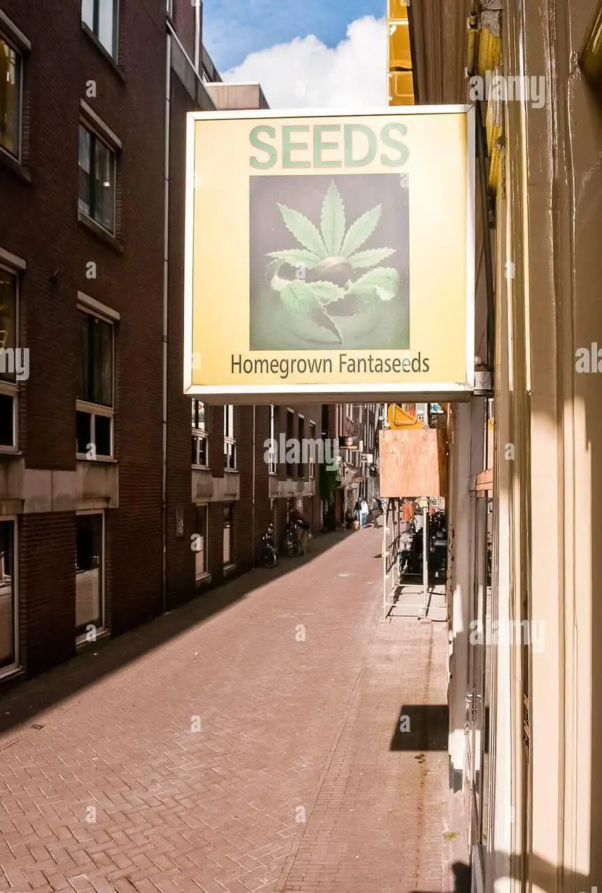 Homegrown Fantaseeds