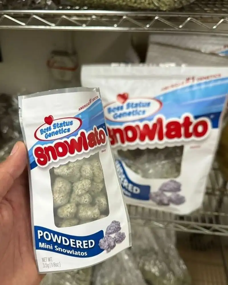 Boss Status Genetics