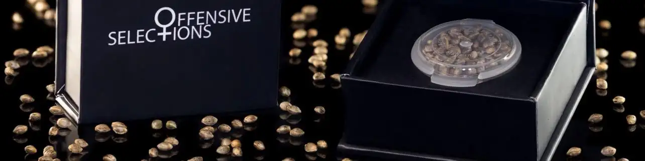 Offensive Selections