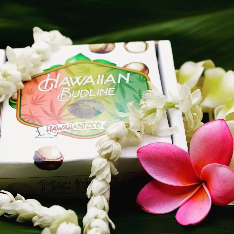 Hawaiian Budline