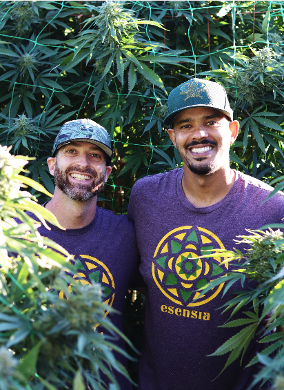 Esensia Gardens