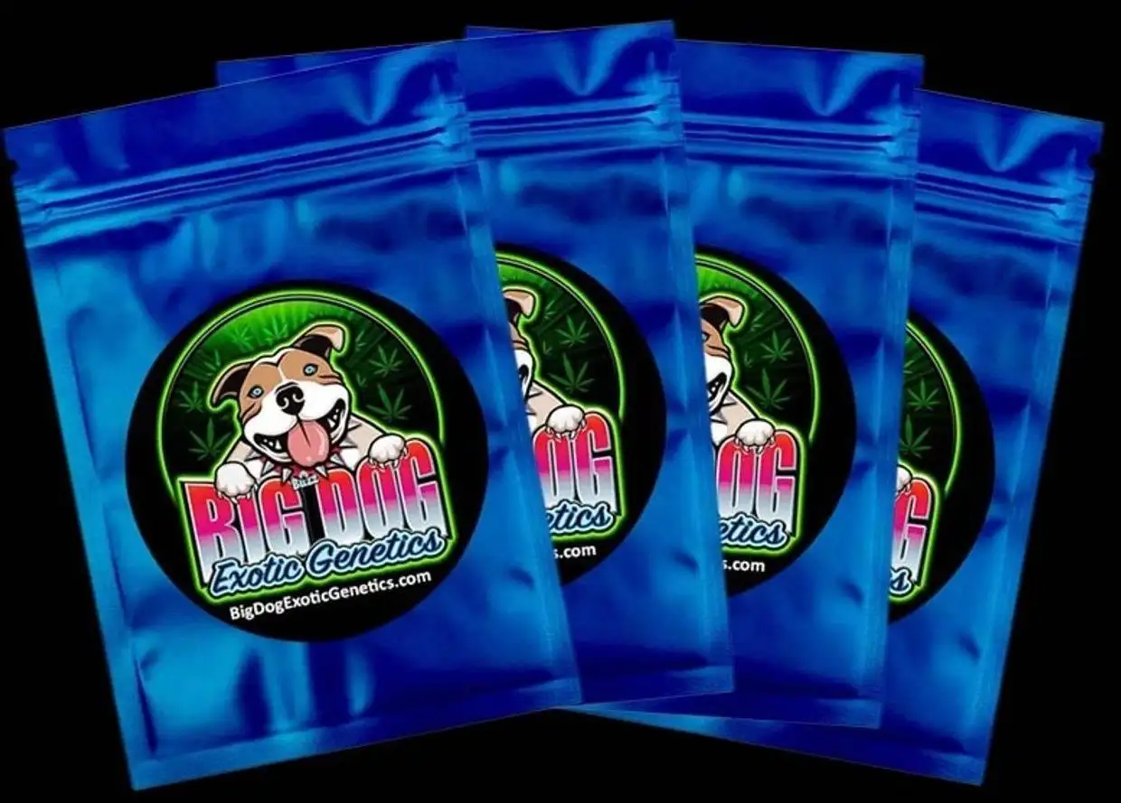 Big Dog Exotic Cannabis Seeds