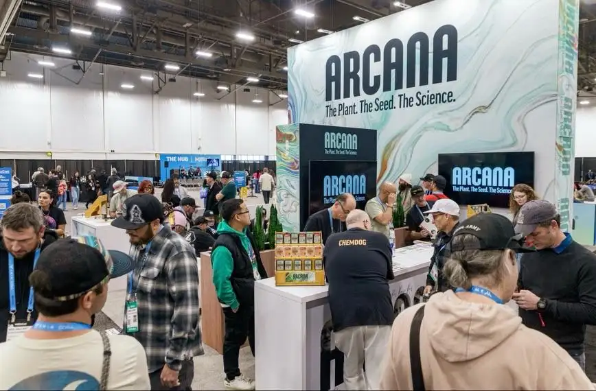 Arcana Collective