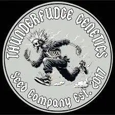 Thunderfudge