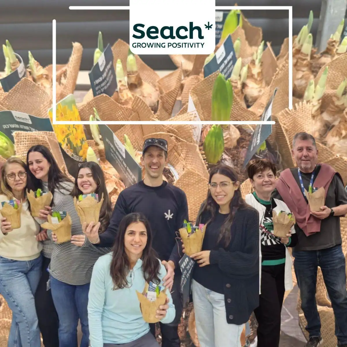 Seach Medical Group