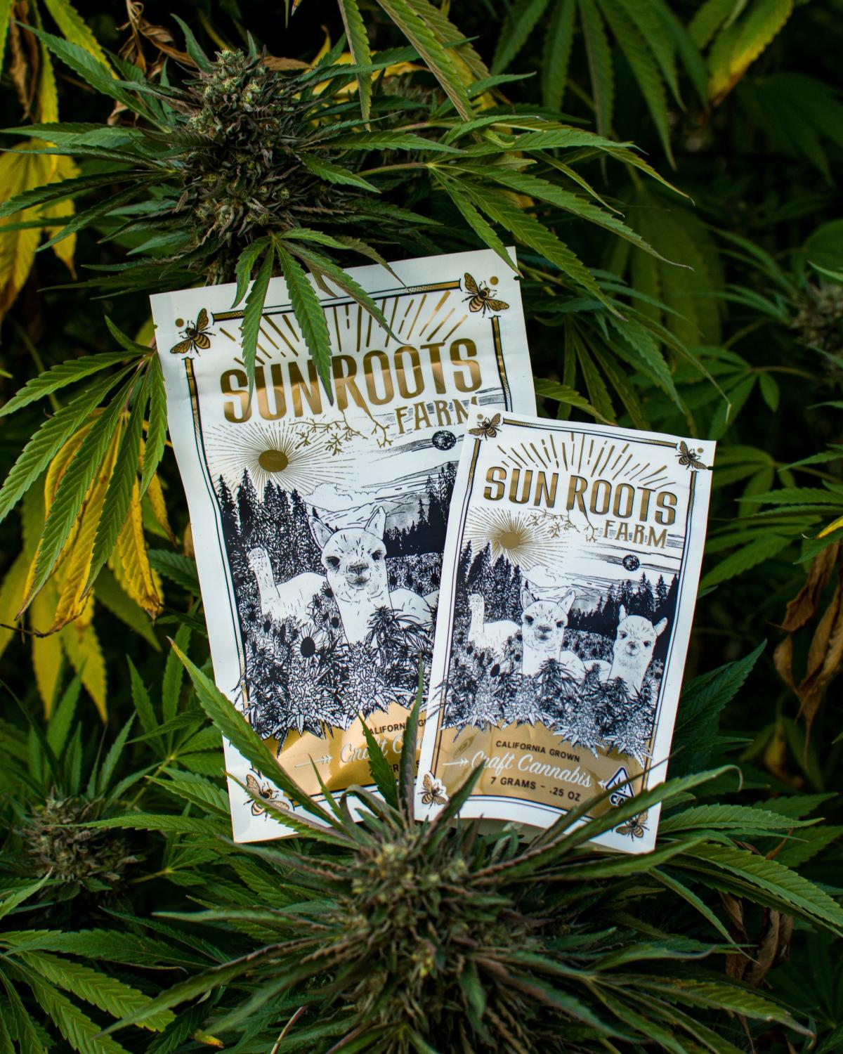 Sun Roots Farm