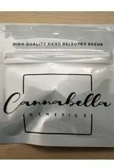 Cannabella Genetics